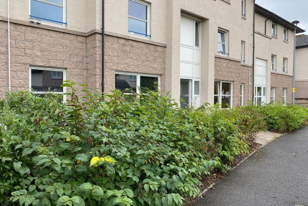 Peter Pan Apartment In The Heart Of Inverness Dalneigh Екстер'єр фото